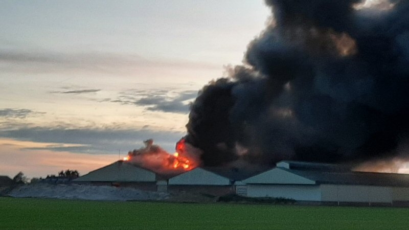 Zeer Grote Brand Legt Bollenbedrijf In De As Noordkop Centraal